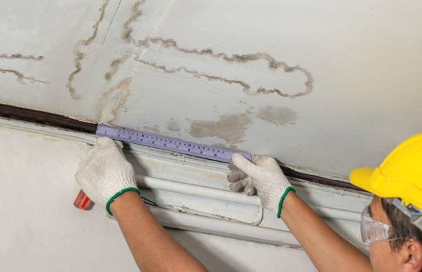 Reliable Mold Remediation contractor in Crystal Lake, CT by Water Damage Irwin